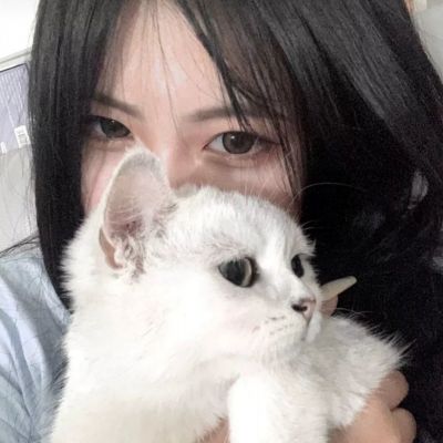 魅族魔兽三国手游下载