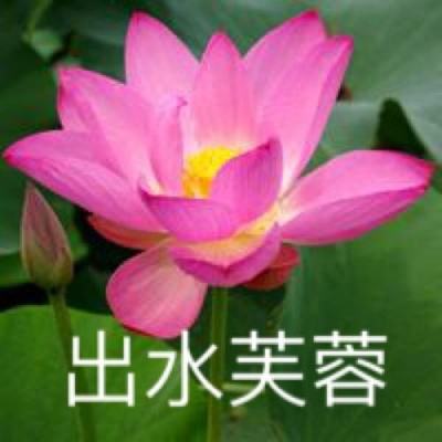 凡人御剑传游戏下载