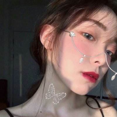 风之大陆bilibili官方下载